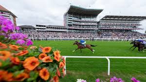 Racing Post - News update