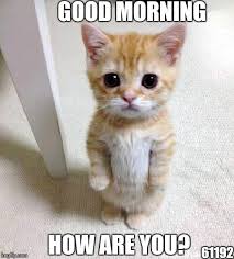 Image result for How are you meme