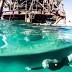 Surfers warned off Oilies wave generator