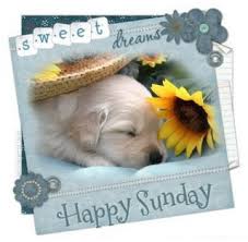 Happy Sunday SMS | 123 LOVE SMS via Relatably.com