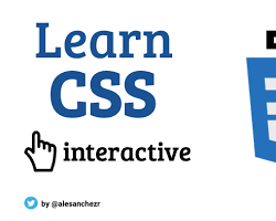 Image of CSS Course