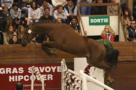 R&eacute;sultat de recherche d'images pour "roi mohamed 6"