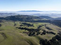 'Long-sought milestone': Over 2,000 acres of Bay Area land preserved for $23M