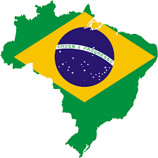 Resultado de imagem para flag brasil