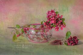 Image result for jacky parker photography