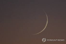 네이트 - News update