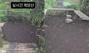 한겨레 - News update
