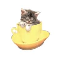 Картинки по запросу анимашки