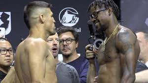 UFC 316: Vicente Luque vs. Kevin Holland Preview