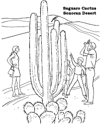 Résultat de recherche d'images pour "cactus coloring pages"