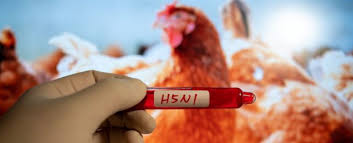 bird flu missouri