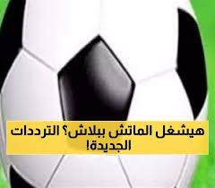 يمن برس - News update