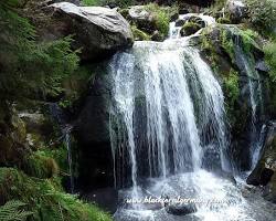 Imagem de Triberg, Black Forest