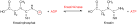 Kreatinkinase