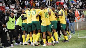 Bafana Bafana: World Cup Hopes & Naija Support - Wahala Dey!