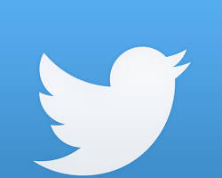 รูปภาพTwitter app icon