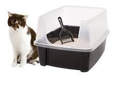 list of top 10 cat litter boxesの画像