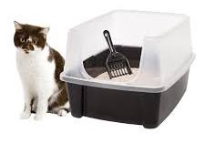 cat litter boxの画像