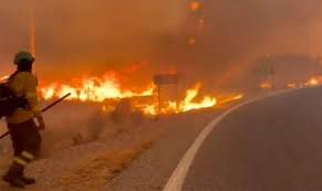 Incêndio florestal deixa ao menos 12 mortos na Espanha