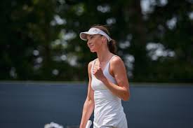 Tennis Roundup: Muchova Out, Fritz & Shelton Advance in Stuttgart - Imagen principal del artículo