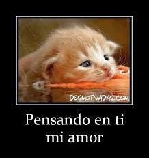 Resultado de imagen para imagenes tiernas de amor