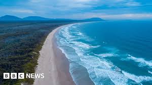 Tragedy Strikes as Shark Attack Claims Life on Remote NSW Beach