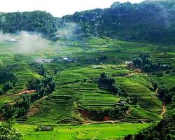 Hình ảnh về Mai Chau