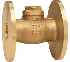 Check Valves | Albion