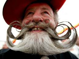 images?q=tbn:ANd9GcQoGofdAHdlr7jmPHbq3zPm3-Ajen86MnZ4N8PvNXDSi35MLV6TbQ