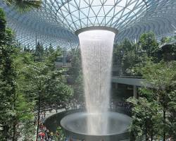 Jardins botaniques de l'aéroport de Singapour