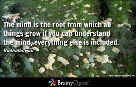 Bodhidharma Quotes - BrainyQuote via Relatably.com