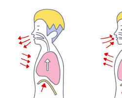 胸式呼吸の画像