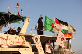 Flotilla a Gaza: Thunberg desafía bloqueo y denuncia hostigamiento israelí - Imagen ilustrativa del artículo