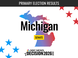 Michigan Senate Primary Election 2026 Live Results: Stevens, El-Sayed, Rogers and More
