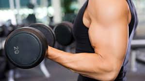 Image result for cara latihan tricep