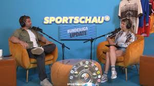 fussball wm