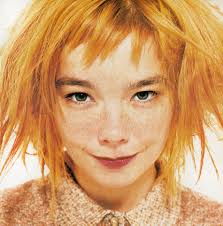 Lorenzo Agius - bjork-1996-lorenzo-agius-01