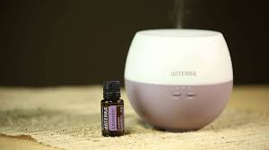 Billedresultat for lavendel doterra