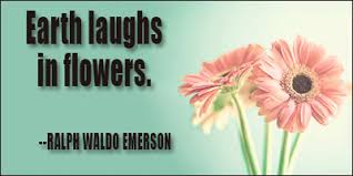 Flower Quotes via Relatably.com