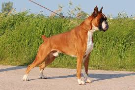 R&eacute;sultat de recherche d'images pour