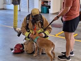 🐾🚒 Service Dog Training Day 🚒🐾 SLO County Fire Station 62 in Avila Beach had some very special visitors — service dogs in training! 🐶👩‍🚒 These pups were introduced to the sights,