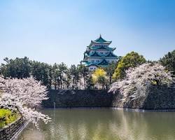 名城公園と名古屋城の画像