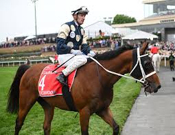 melbourne cup field 2025 justhorseracing.com.au