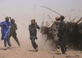 Image result wey dey for fulani headmens