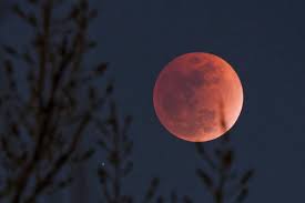 Agosto tem dois eclipses, e só um deles poderá ser visto do Brasil