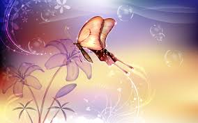 Image result for animated butterflies wallpaper