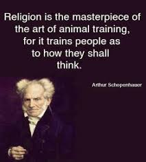 Schopenhauer on Pinterest | Quote, Rose Petals and Atoms via Relatably.com