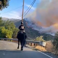 Kudos to the brave 16-year-old, Kalyna Fedorowycz, who rode her trainer's horse Sovereignty to safety during the recent Palisades fire in Los Angeles. This fire approached very quickly and with little warning,
