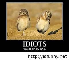 Tag: funny sayings and quotes | Pintast via Relatably.com