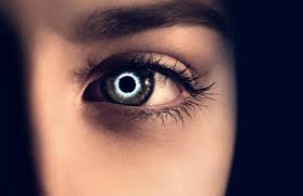 Afbeeldingsresultaat voor The Host